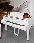 Flügel-Sauter160-weiss-poliert-58037-1-c