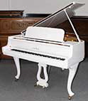 Flügel-Schimmel-150-Ch-weiss-44107-1-c