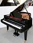 Flügel-Ibach-162-schwarz-87243-1-b