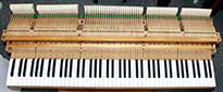 Flügel-Ibach-162-schwarz-87243-10-b