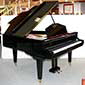 Flügel-Ibach-162-schwarz-87243-2-b