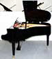 Flügel-Ibach-162-schwarz-87243-3-b