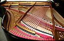 Flügel-Ibach-162-schwarz-87243-9-b