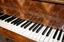 Flügel-Ibach-180-Wurzelnuss-74120-5-b
