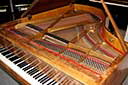 Flügel-Ibach-180-Wurzelnuss-74120-6-b