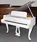 Flügel-Schimmel-150-Ch-weiss-44107-1-b