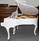 Flügel-Schimmel-150-Ch-weiss-44107-3-b