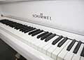 Flügel-Schimmel-150-Ch-weiss-44107-4-b