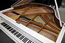 Flügel-Schimmel-150-Ch-weiss-44107-6-b