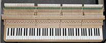 Flügel-Schimmel-150-Ch-weiss-44107-9-b