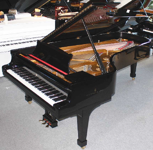 Flügel-Steinway-D-schwarz-1-a