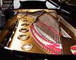 Flügel-Steinway-D-schwarz-12-b