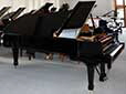 Flügel-Steinway-D-schwarz-4-b