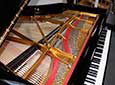 Flügel-Steinway-D-schwarz-9-b