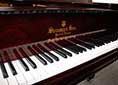 Flügel-Steinway-O-180-Palisander-130839-6-b