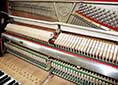 Klavier-Sauter-118-R2-schwarz-67969-8-b