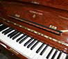Klavier-Steinway-V-125-Nuss-pol-303264-3-b