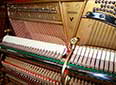 Klavier-Steinway-V-125-Nuss-pol-303264-8-b