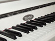 Kemble-K109-weiss-4-b