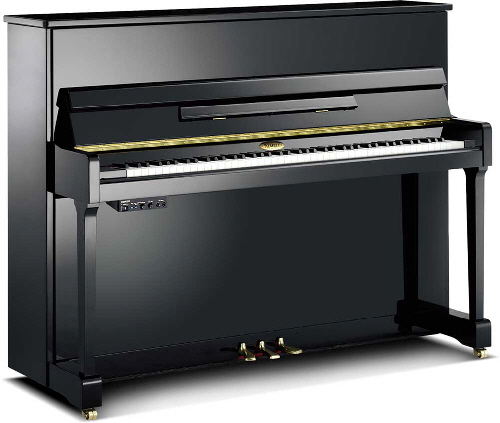 Kemble-CLT116-SG2-schwarz-1-a